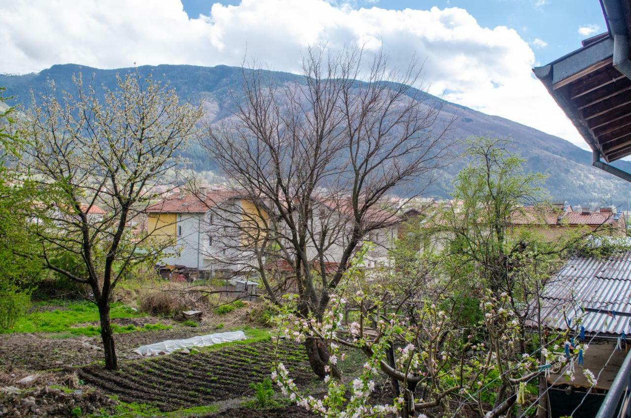 Guesthouse Juli Sapareva Banya Esterno foto
